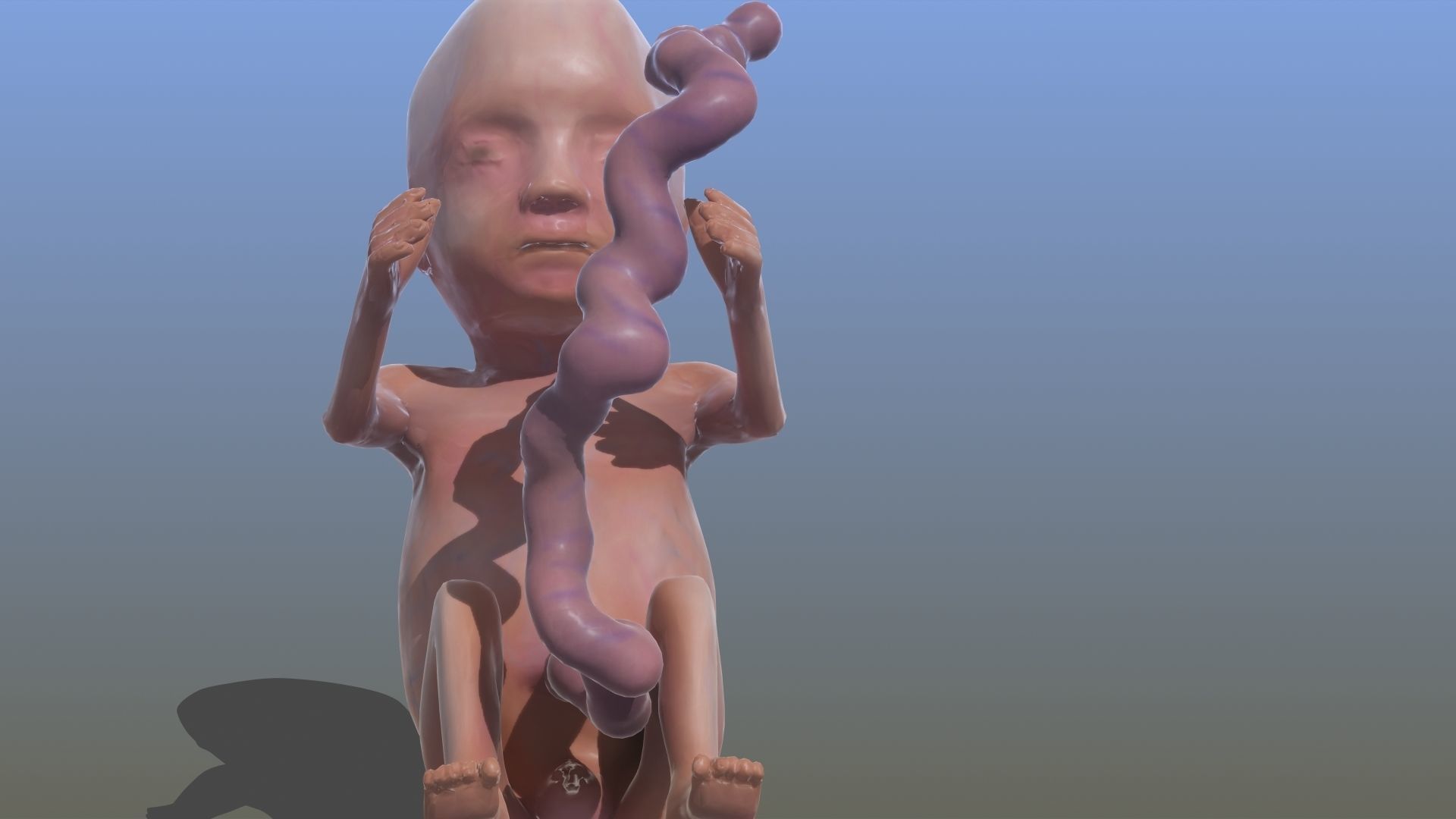 Human Fetus 3D model_27