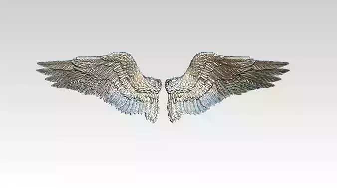 Wings pair LEFT  RIGHT