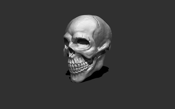 Human Skull - Realistic - Retopologized Low-poly 3D model
