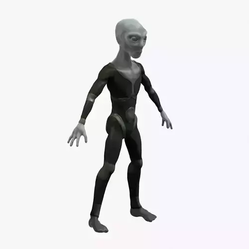 Grey Alien 3D model