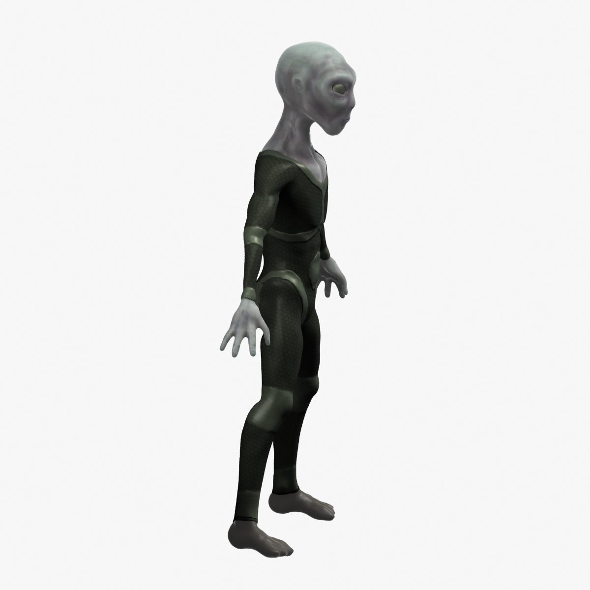 Grey Alien 3D model_47
