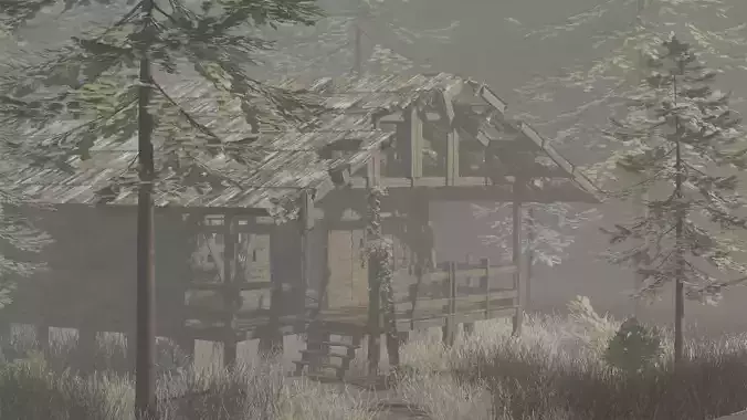 old house in the forest