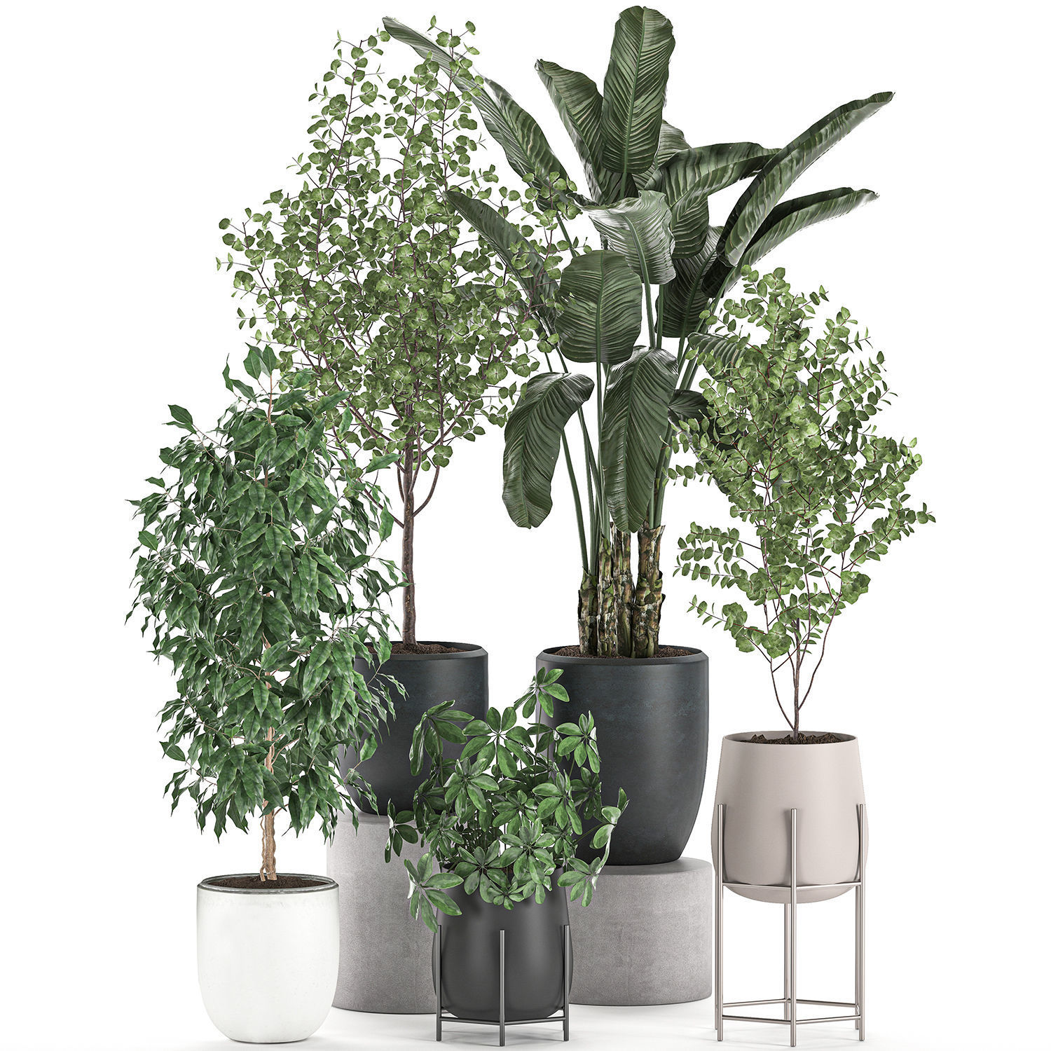 Decorative plants for interior decoration in pots 557 3D model_2