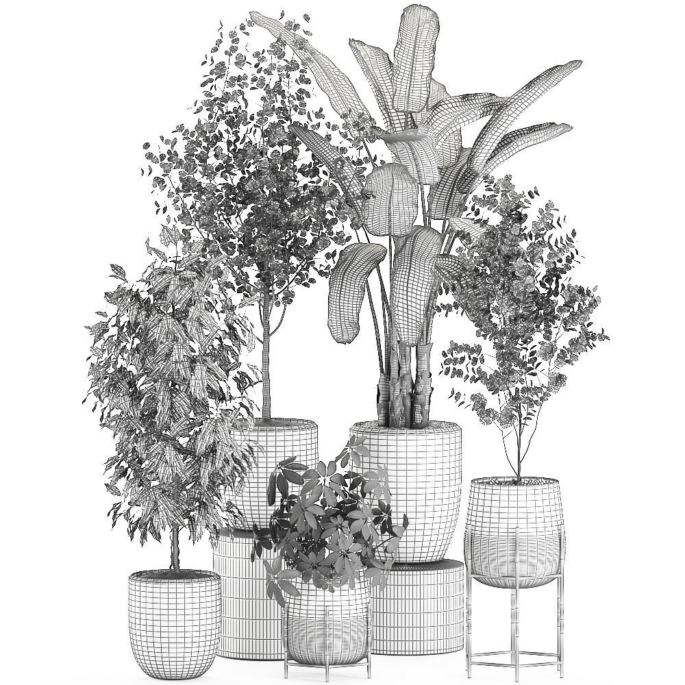 Decorative plants for interior decoration in pots 557 3D model_8