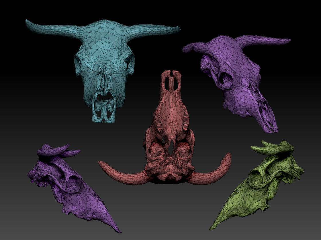 CowSkull Lowpoly cow skull Low-poly 3D model_2