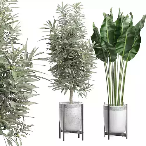 Flower Pack 65 3D model