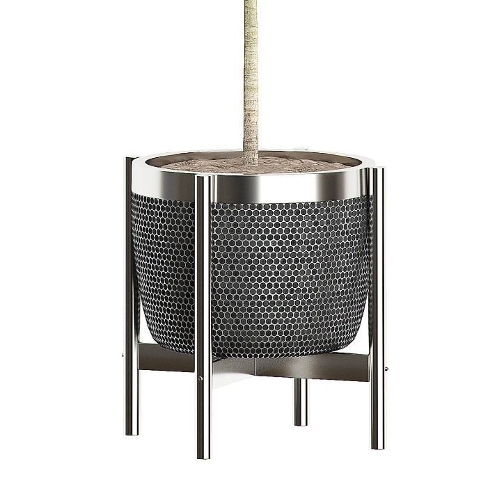 Olive tree in pot 67 3D model_2