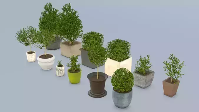 Trees in pots collection 10 plants and 12 flowerpots Low-poly 3D model