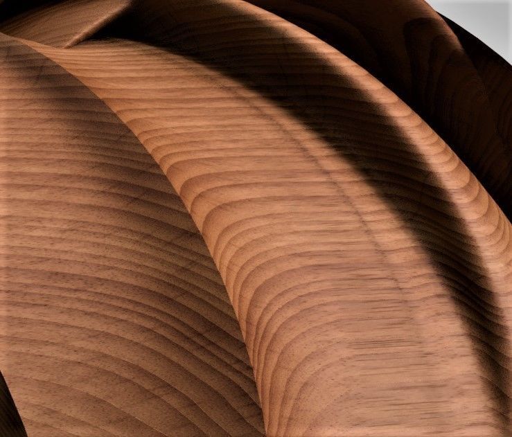 Woden Snail Shell CNC 3d 3D model_2