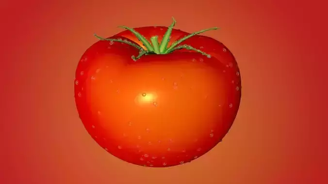Tomato
