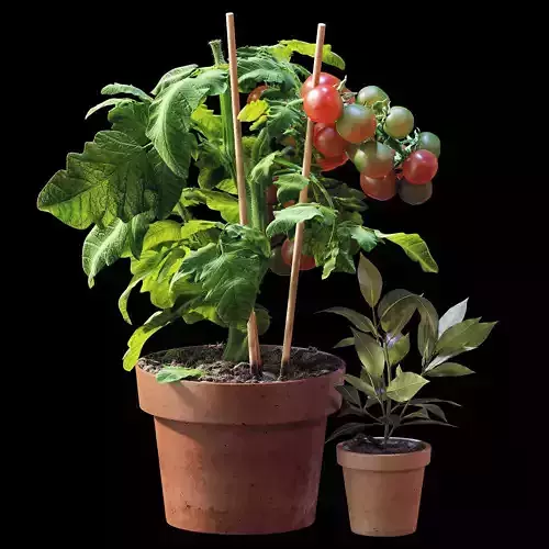 Set of plants 06 3D model