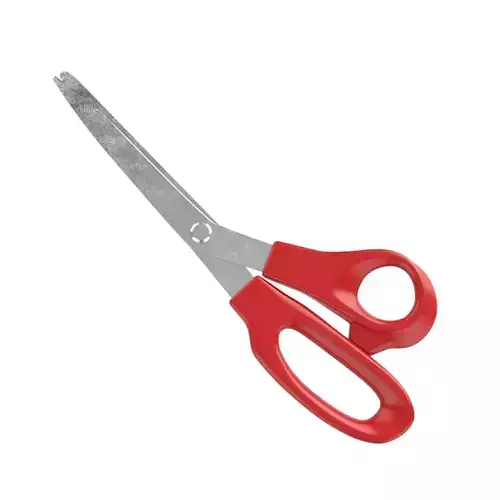 Scissors pair of