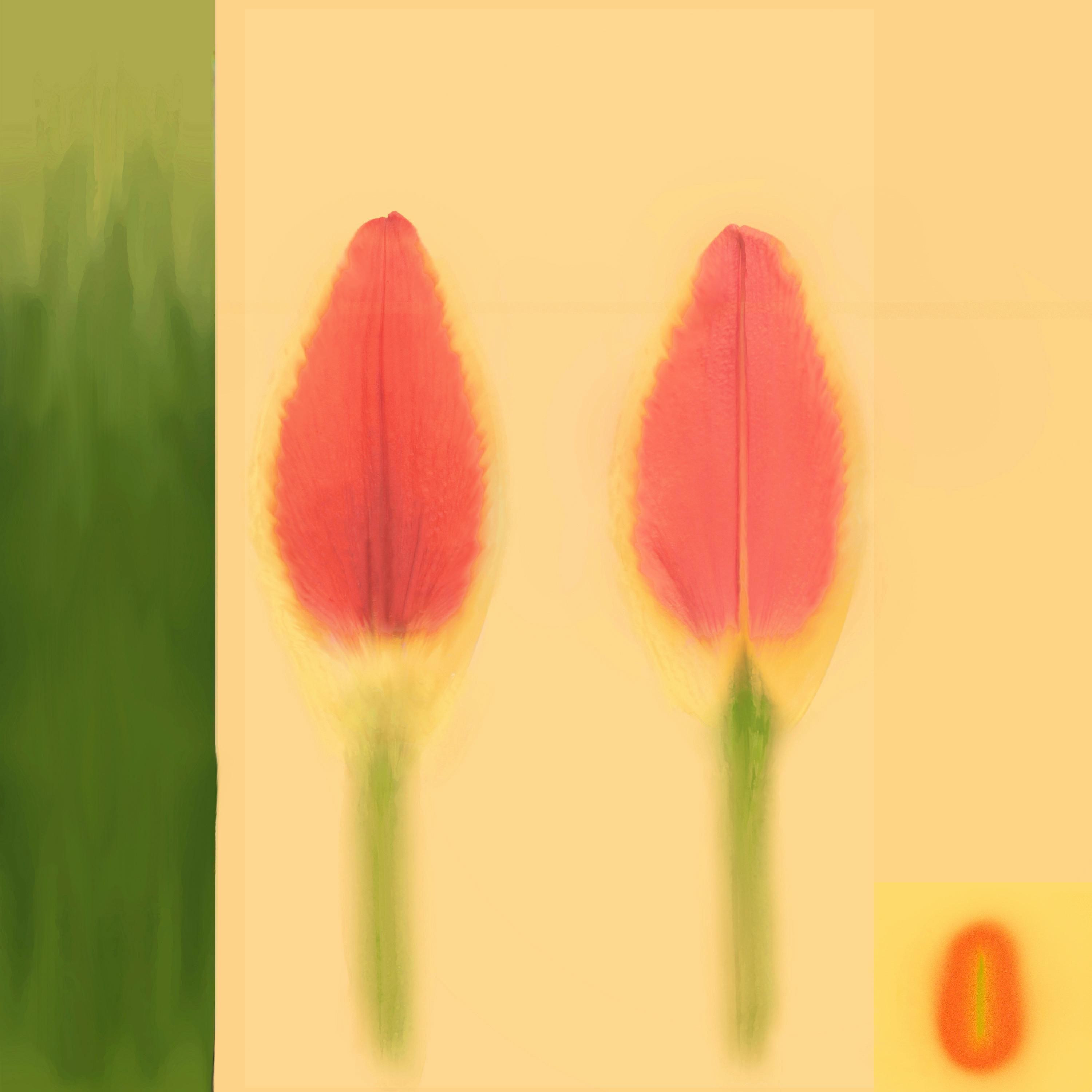 MEDITERRANEAN THEMED RESTAURANT Low-poly 3D model_82