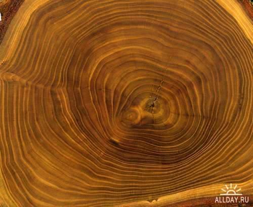 MEDITERRANEAN THEMED RESTAURANT Low-poly 3D model_71