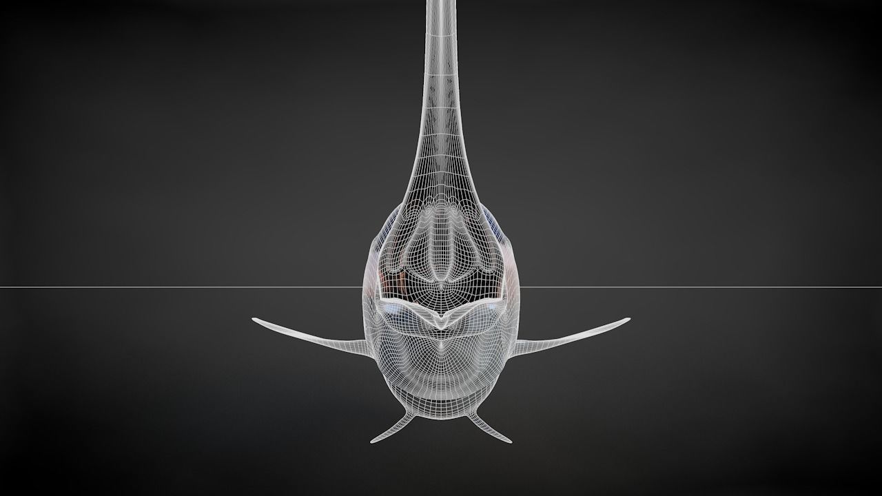 Blue Stripped Marlin C4D Rigged Low-poly 3D model_39