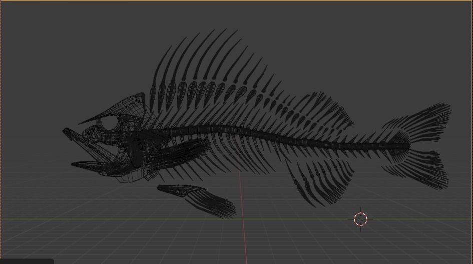 Fish Anatomy 3D Model 3D model_12