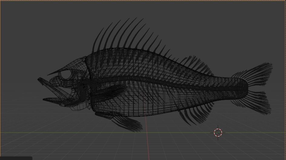 Fish Anatomy 3D Model 3D model_13