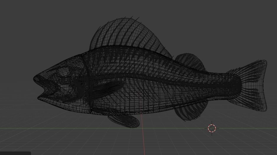 Fish Anatomy 3D Model 3D model_2