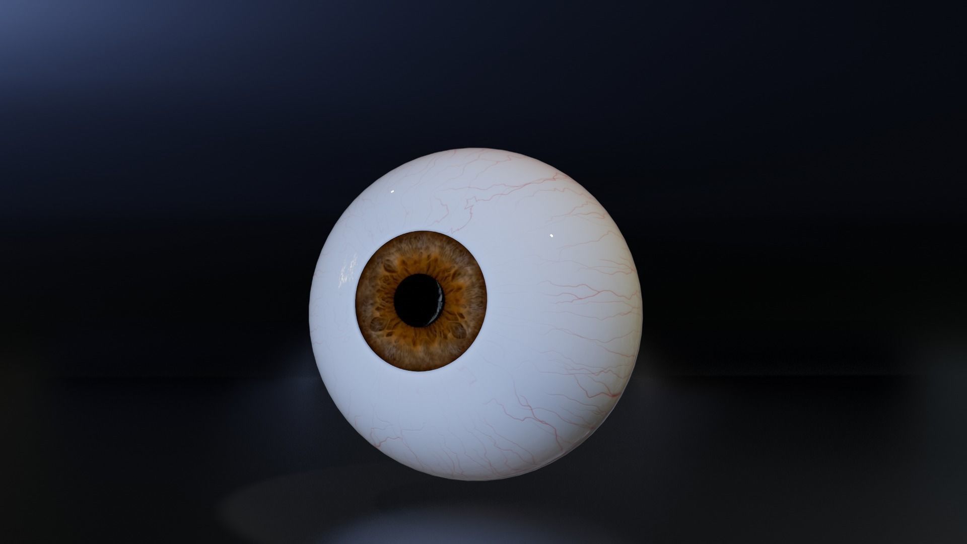 eyess Free low-poly 3D model_1