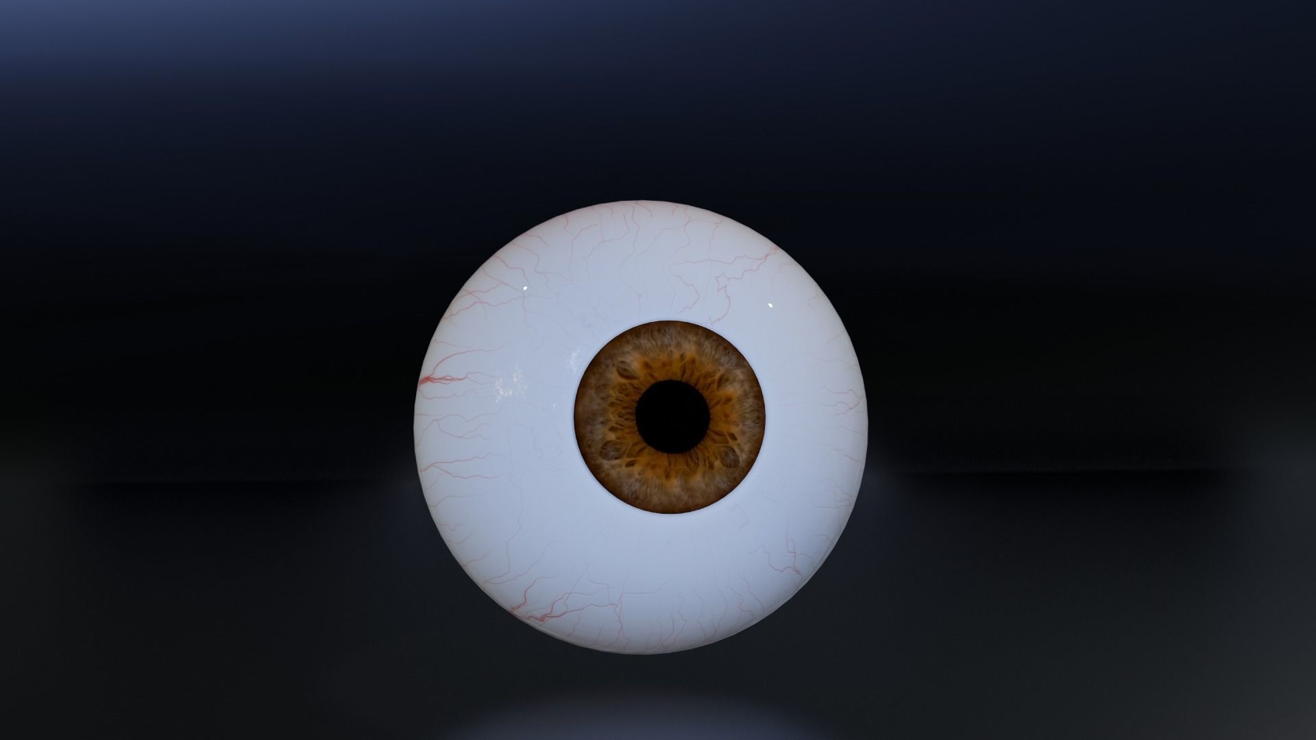 eyess Free low-poly 3D model_2