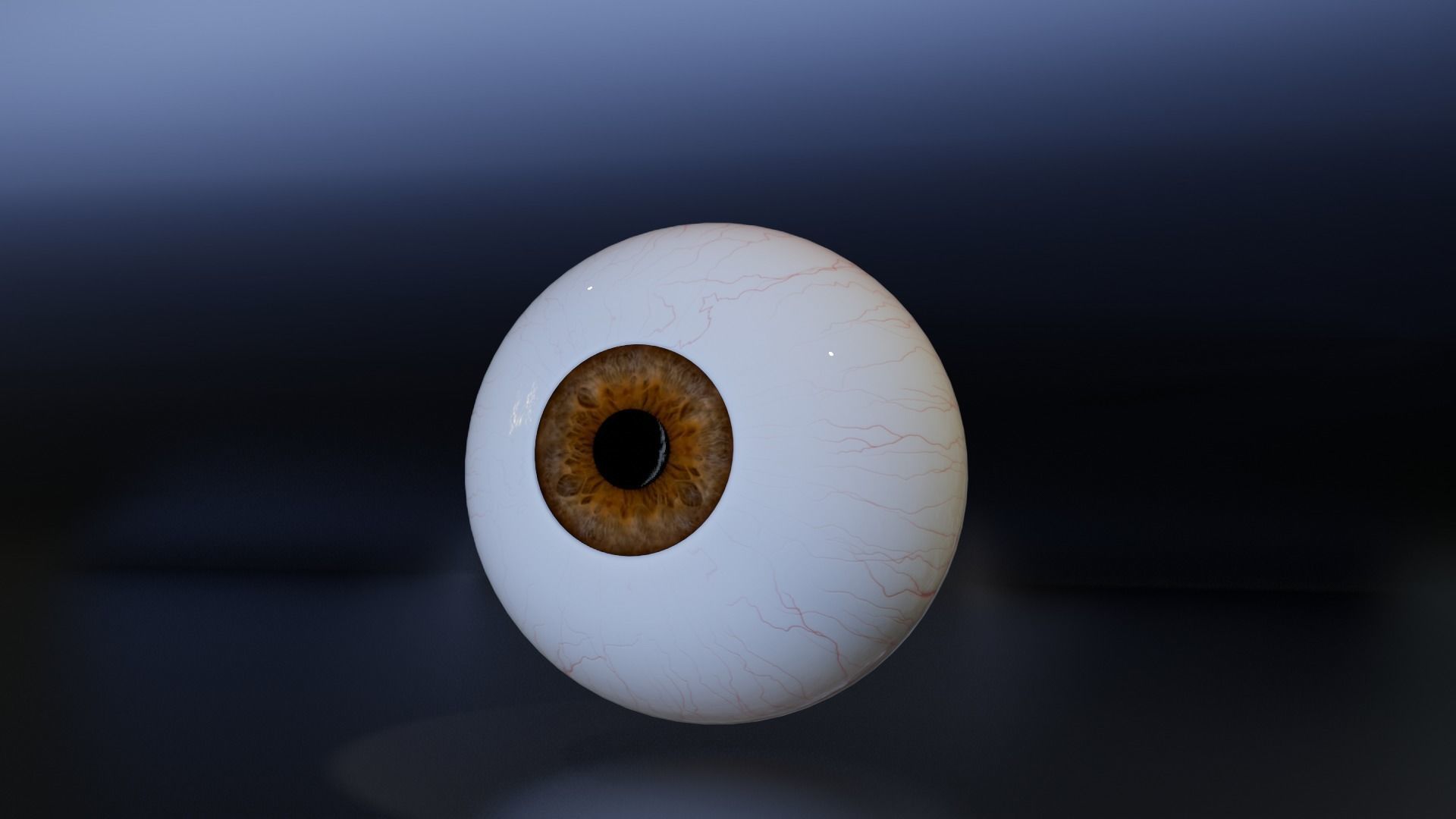 eyess Free low-poly 3D model_5
