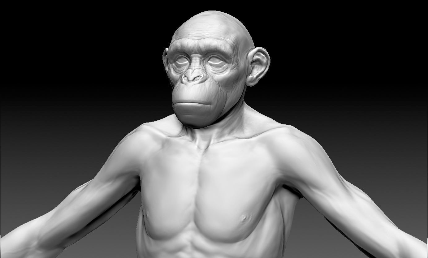 Human evolution model 3D model_14