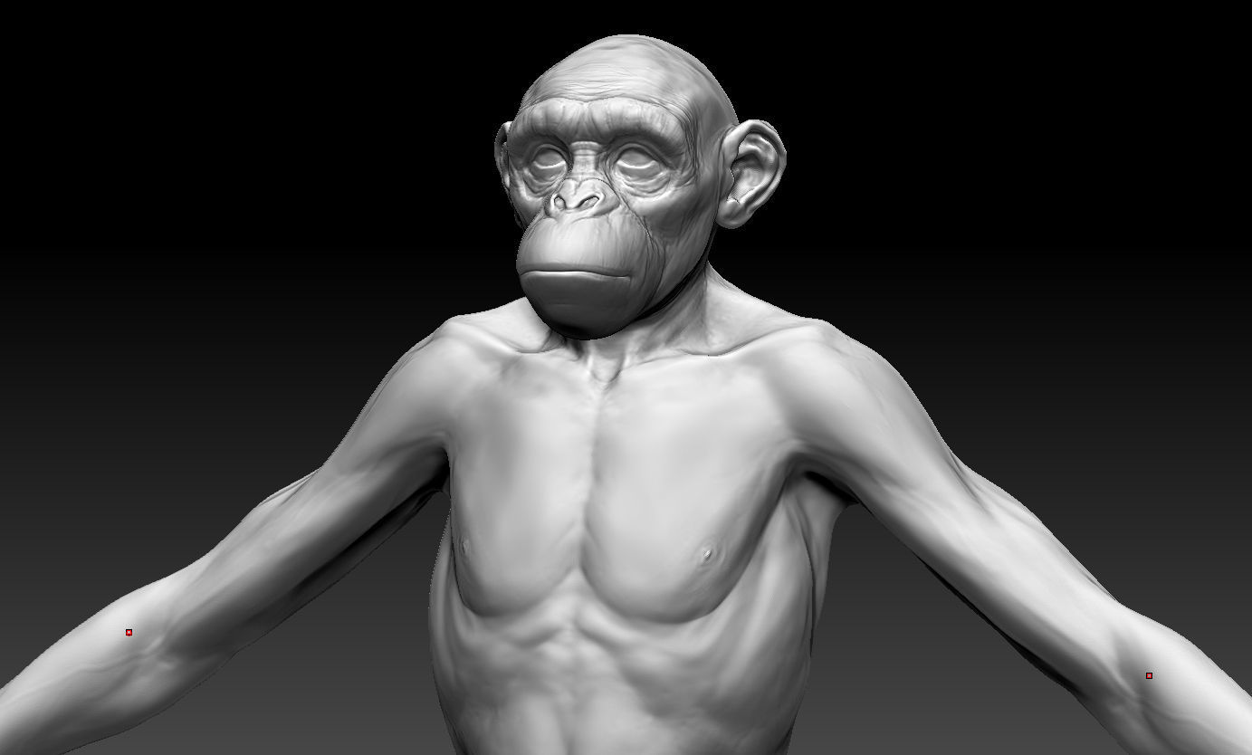 Human evolution model 3D model_13