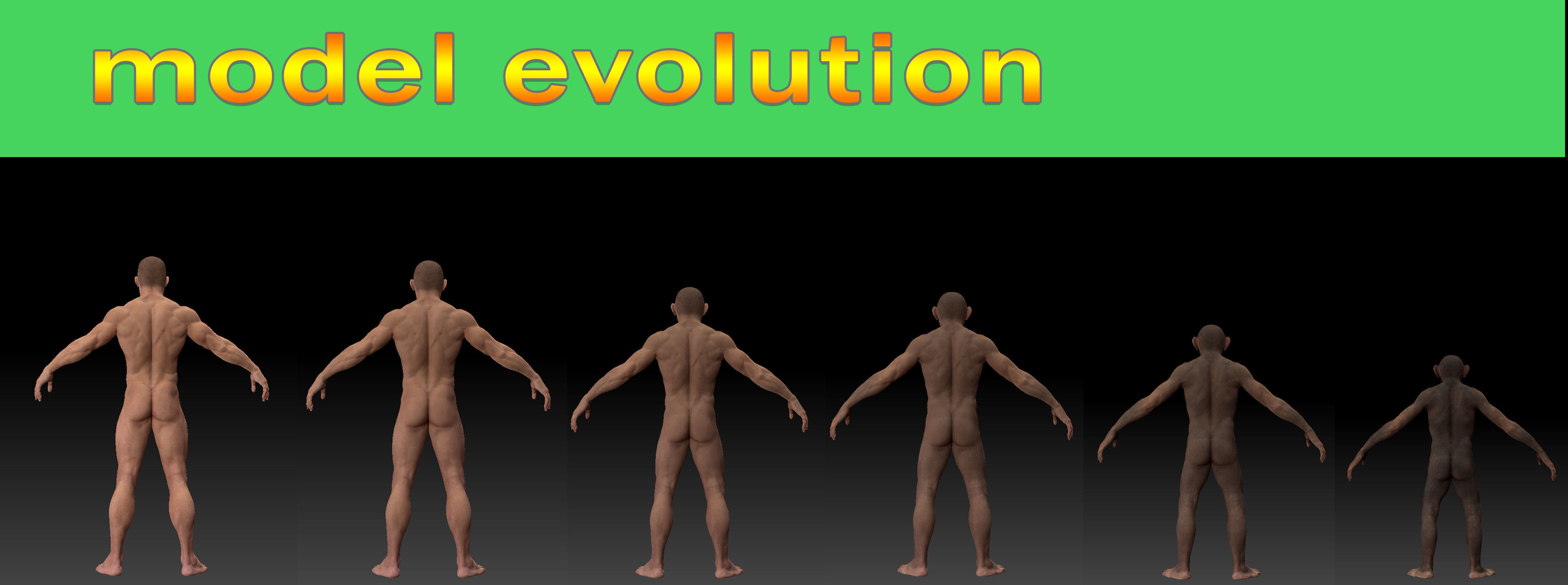 Human evolution model 3D model_4
