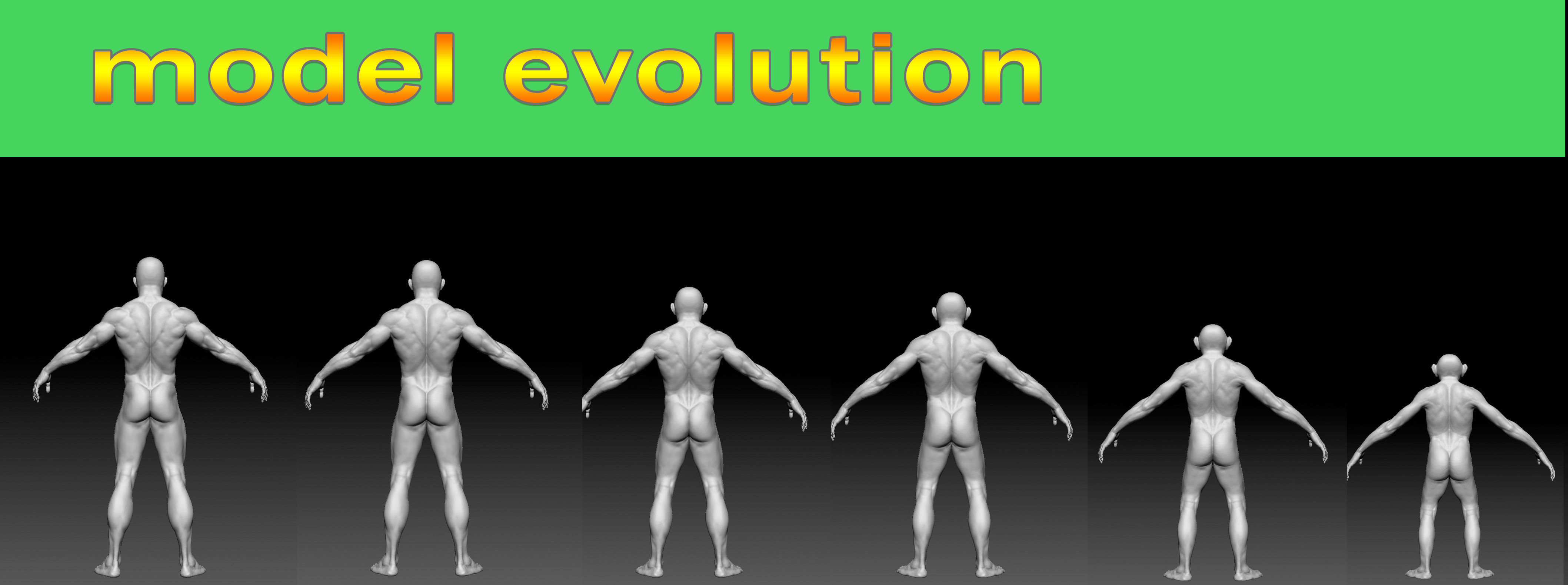 Human evolution model 3D model_5