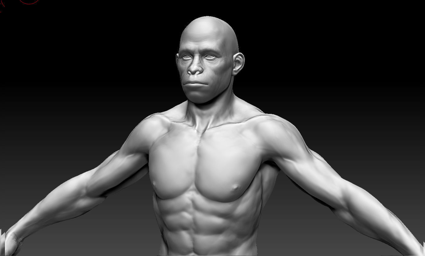 Human evolution model 3D model_17