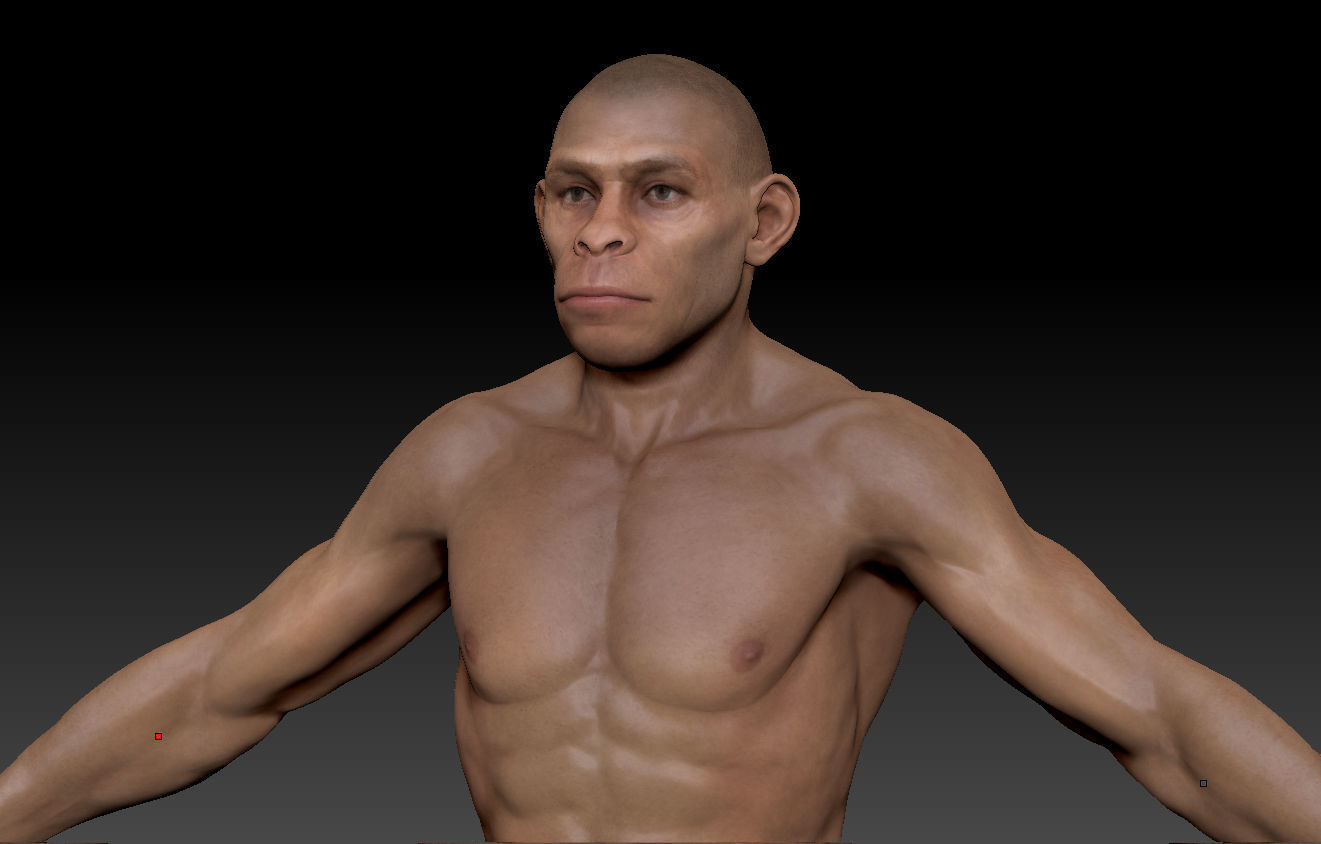 Human evolution model 3D model_10