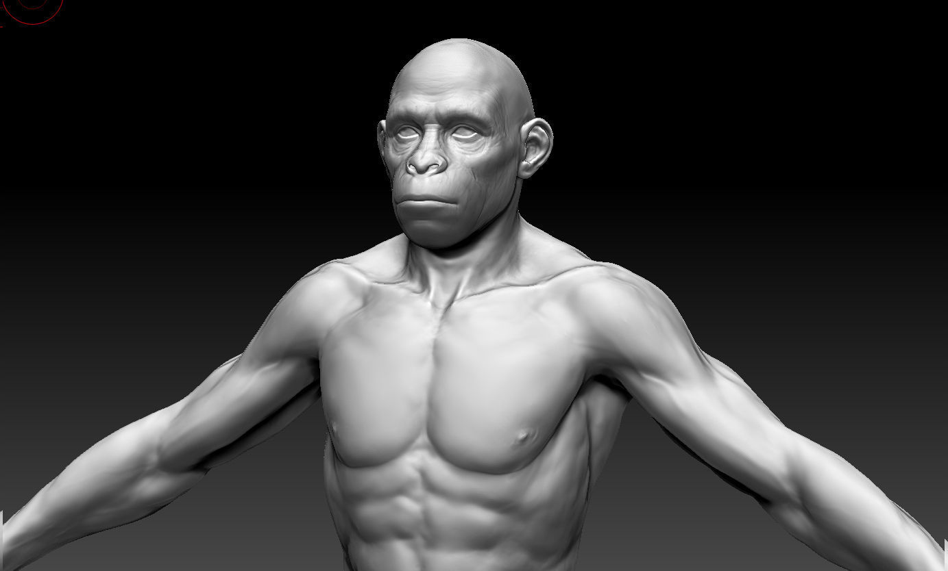 Human evolution model 3D model_16