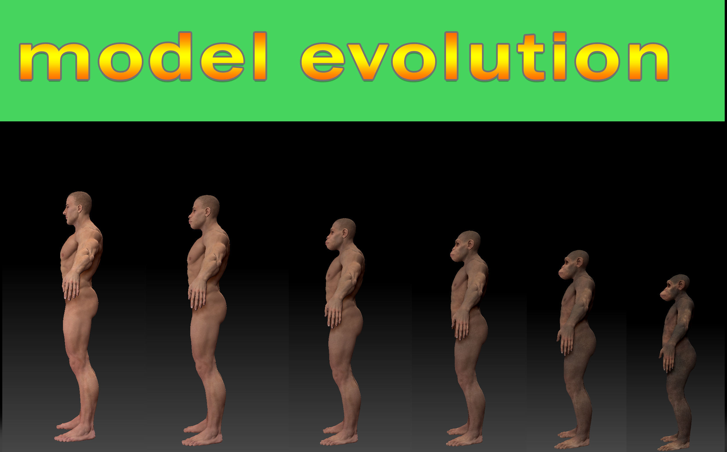 Human evolution model 3D model_2