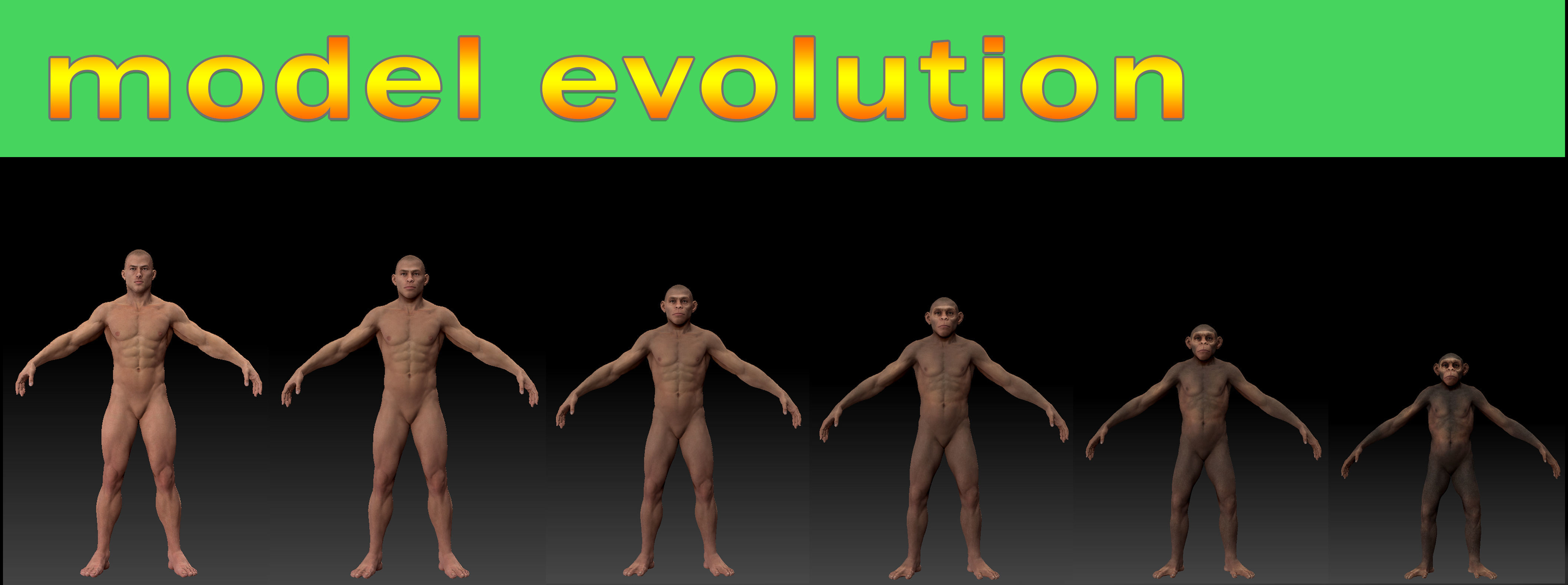 Human evolution model 3D model_1