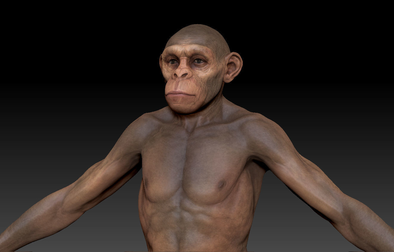 Human evolution model 3D model_8