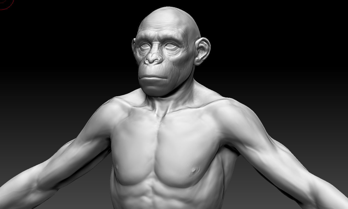 Human evolution model 3D model_15