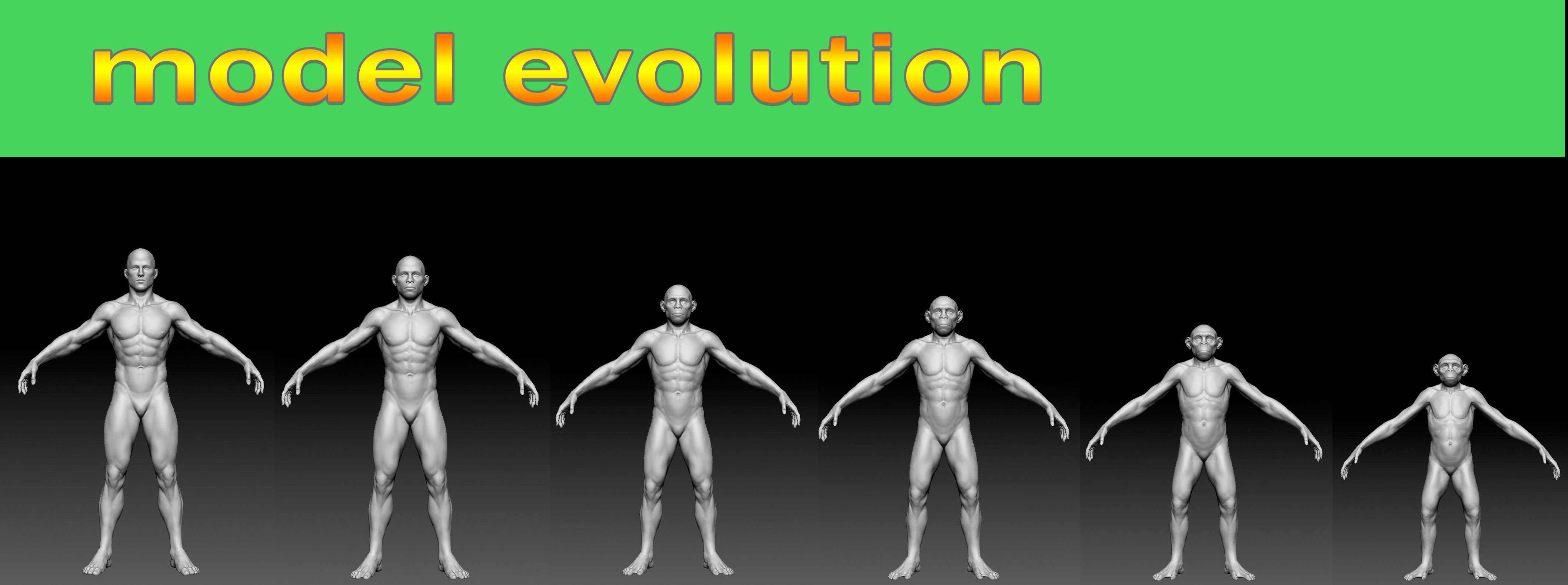 Human evolution model 3D model_6