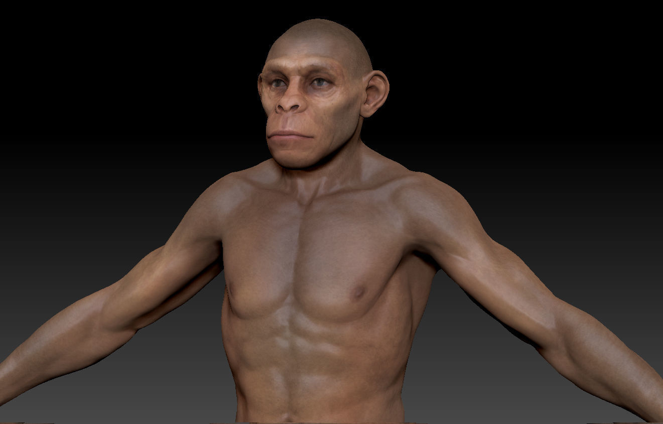 Human evolution model 3D model_9