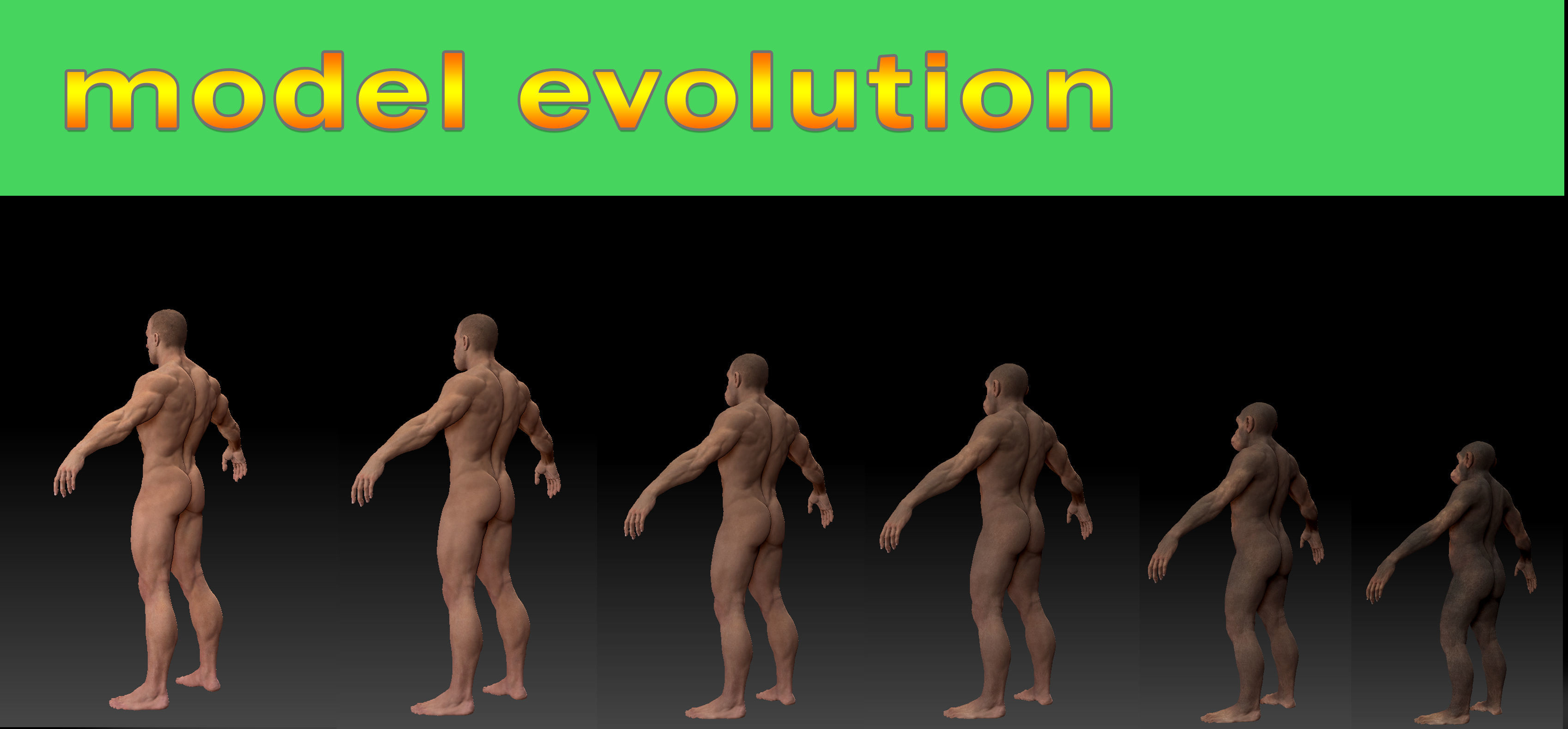 Human evolution model 3D model_3