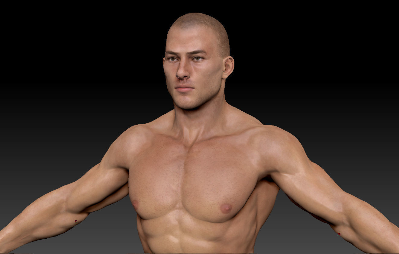 Human evolution model 3D model_12