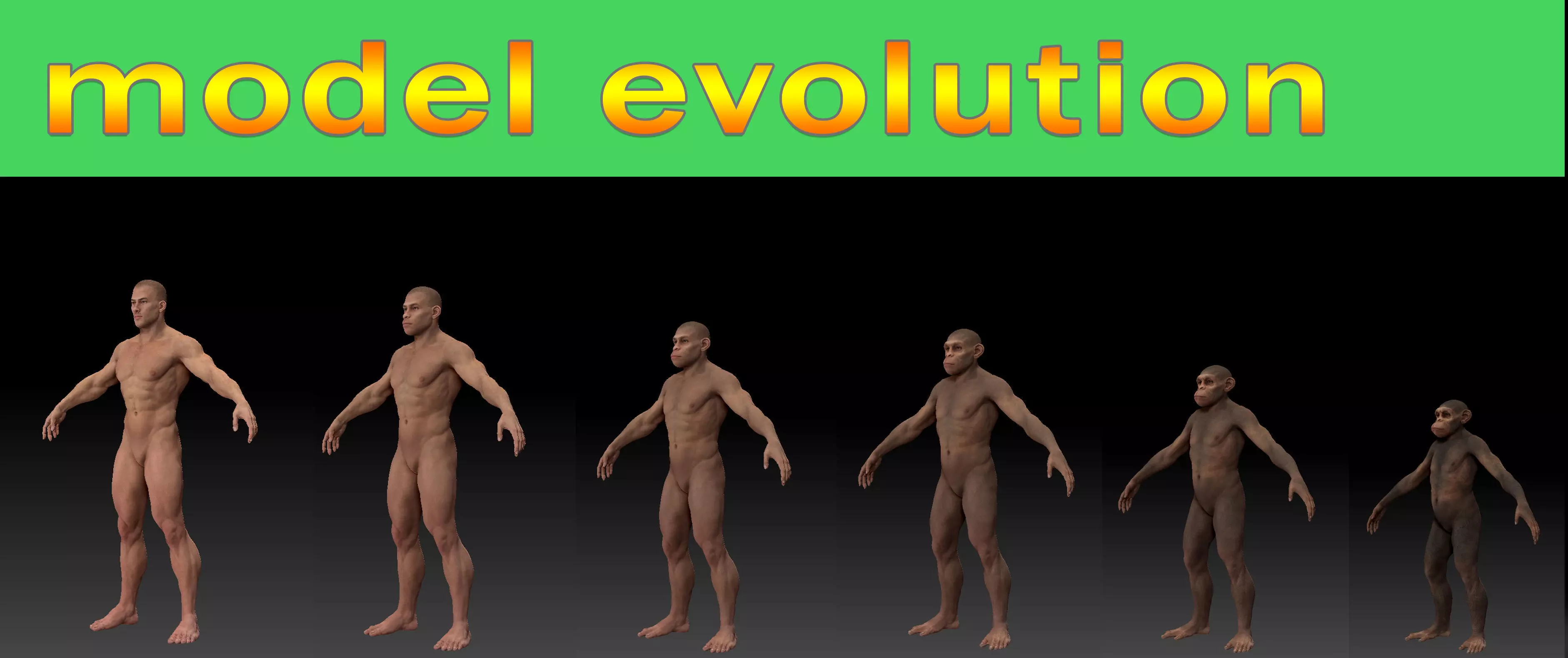 Human evolution model 3D model_0