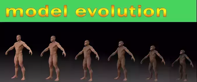 Human evolution model 3D model