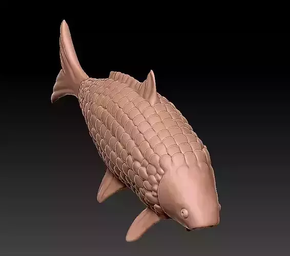 Carp for 3D printing 3D print model