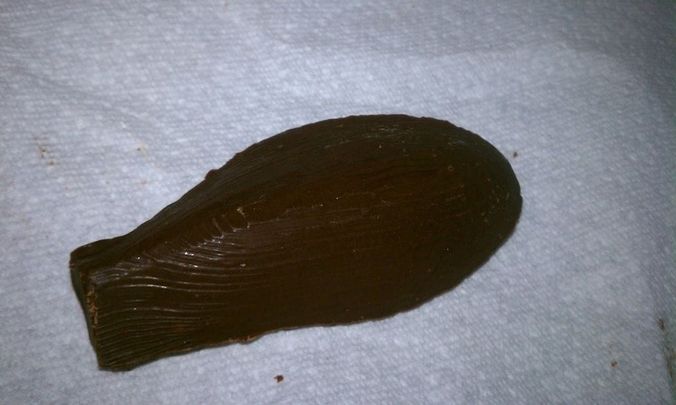 Chocolate Bunny Ear Mold Free 3D print model