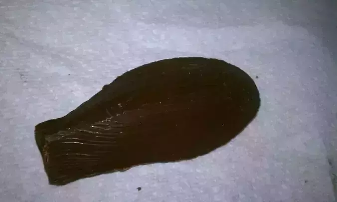 Chocolate Bunny Ear Mold Free 3D print model