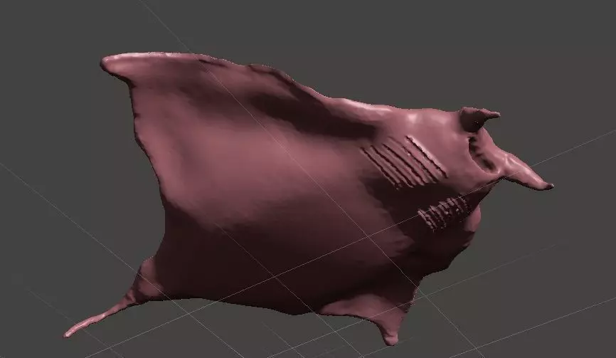 vatoz skin 3D print model