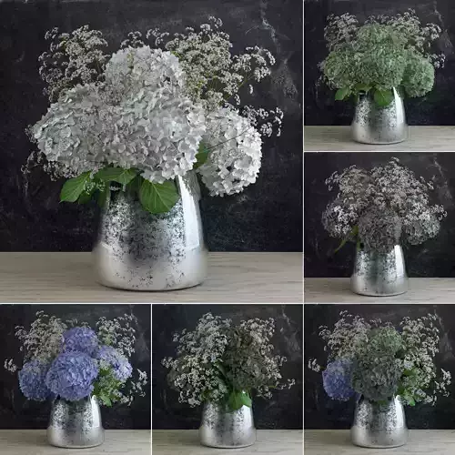 Bouquet of Gypsophila with Hyndrangeas 3D model