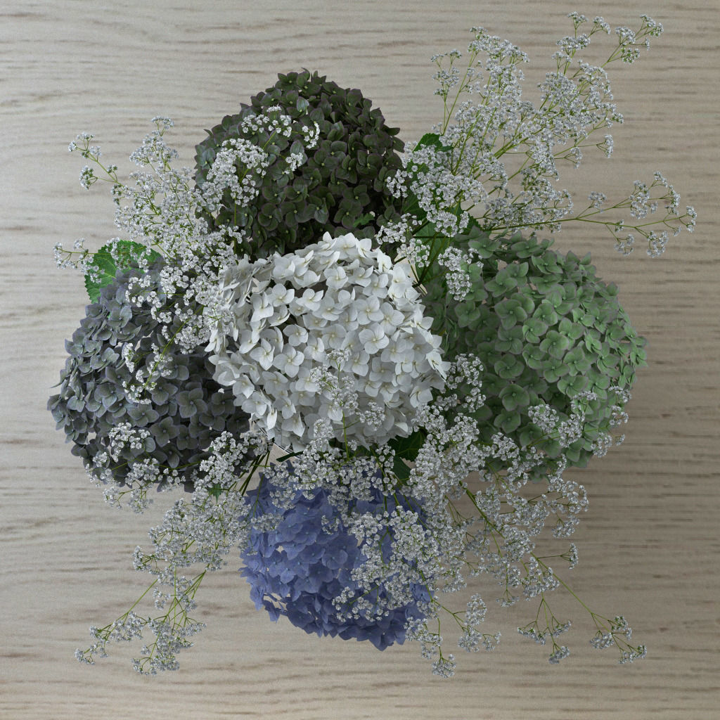Bouquet of Gypsophila with Hyndrangeas 3D model_4