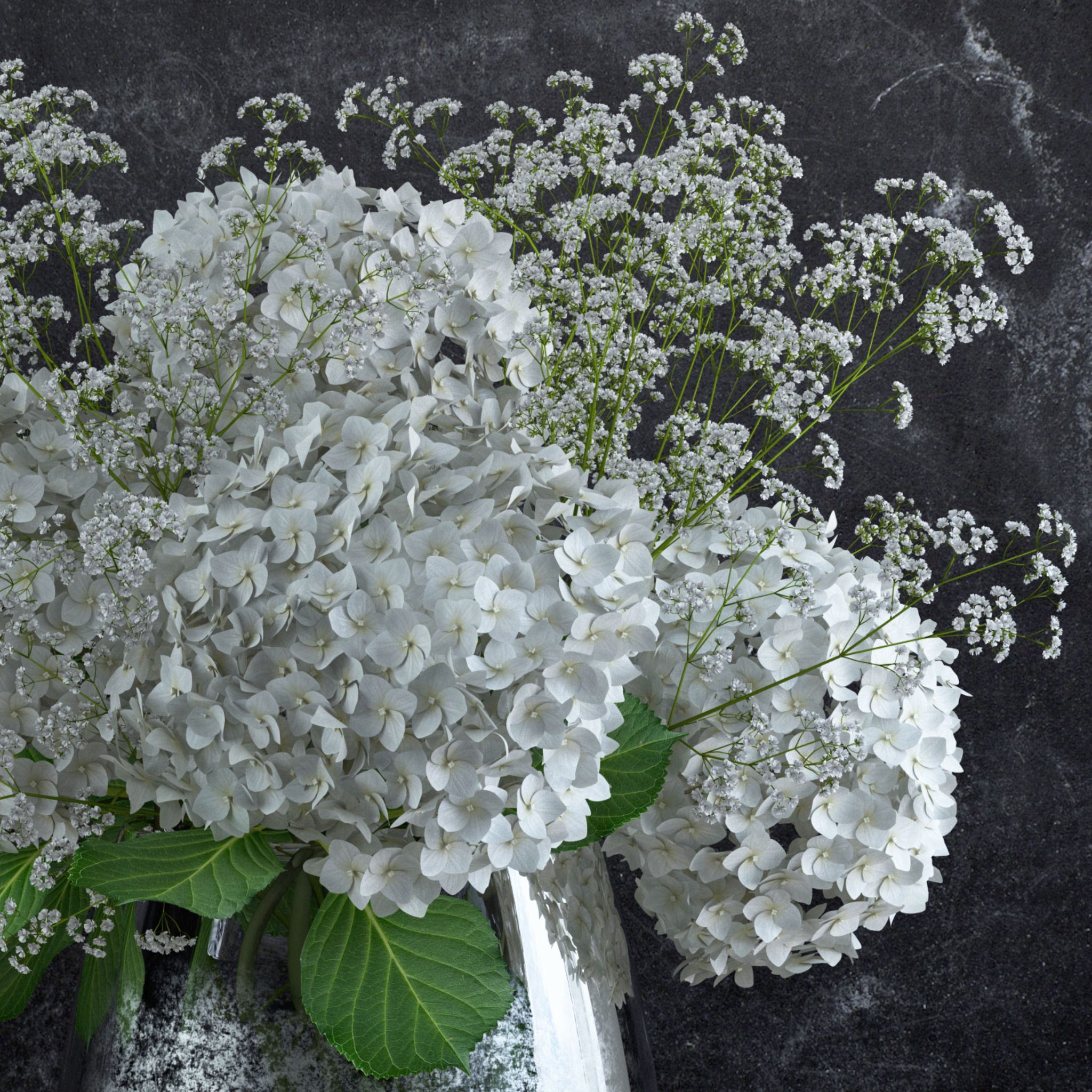 Bouquet of Gypsophila with Hyndrangeas 3D model_2