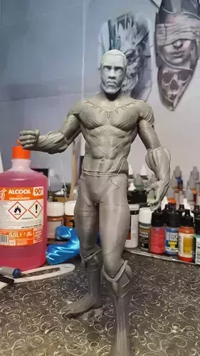 Black Panther Diorama -Chadwick Boseman-  3D print model